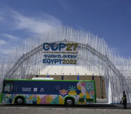 Financiamiento: el inédito rol que tendrá Chile en la cumbre climática COP27 de Egipto (La Tercera)