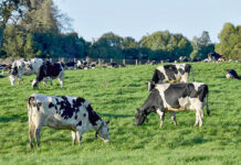 Metano, el “otro” gas de efecto invernadero responsable del cambio climático (Diario Financiero)