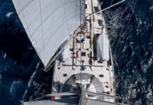 Estudio sobre material genético del océano de Chile permitirá investigar efectos de la crisis climática en el mundo (El Ciudadano) Imagen de: Alice Roy – Fondation Tara Ocean.