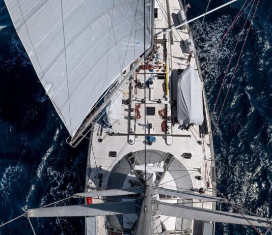 Estudio sobre material genético del océano de Chile permitirá investigar efectos de la crisis climática en el mundo (El Ciudadano) Imagen de: Alice Roy – Fondation Tara Ocean.