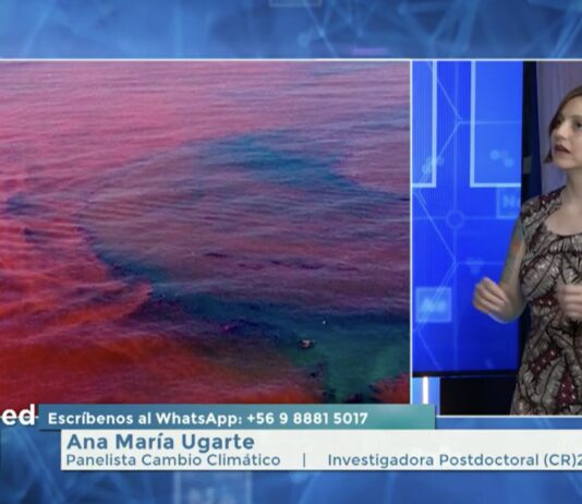 Entrevista a Ana María Ugarte: Marea roja y cambio global (Stgo. TV)
