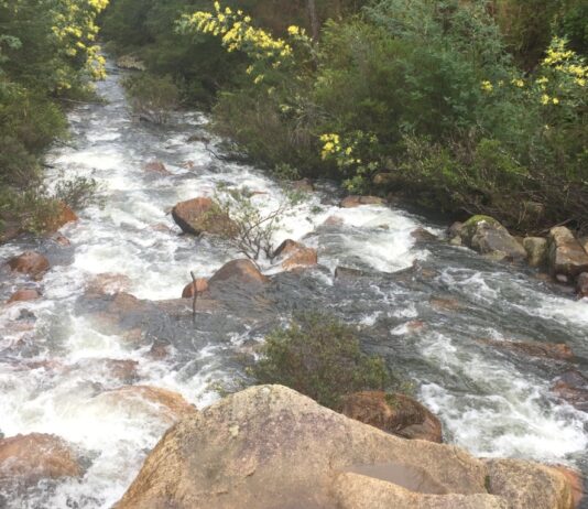 Investigador UAI publica estudio sobre hidrología forestal de Chile en revista académica internacional (Diario Paillaco)