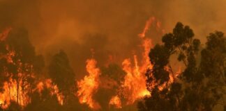 Imagen de Agencia UNO