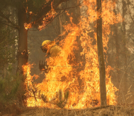 Con el «miedo a ser olvidados», damnificados enfrentan segunda semana tras incendios (El Mercurio)