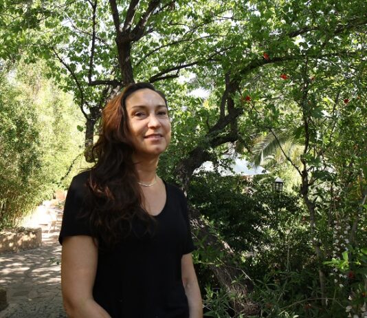 Paulina Aldunce y crisis climática: “Debe haber un movimiento de financiamiento desde los países con mayores recursos” (Diario Uchile)