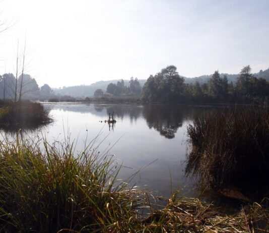 Estudiantes recorren los humedales urbanos para generar conciencia ecológica (Radio Polar)