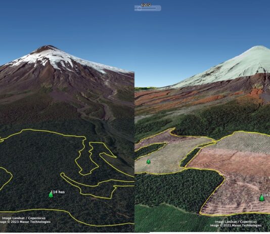 Fotos aéreas muestran que ni la ladera del Villarrica se salvó del monocultivo forestal (El Desconcierto)