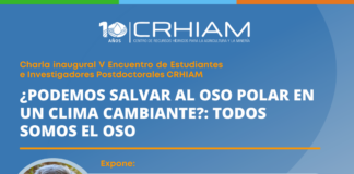 23 de mayo | ¿Podemos salvar al oso polar en un clima cambiante?: todos somos el oso