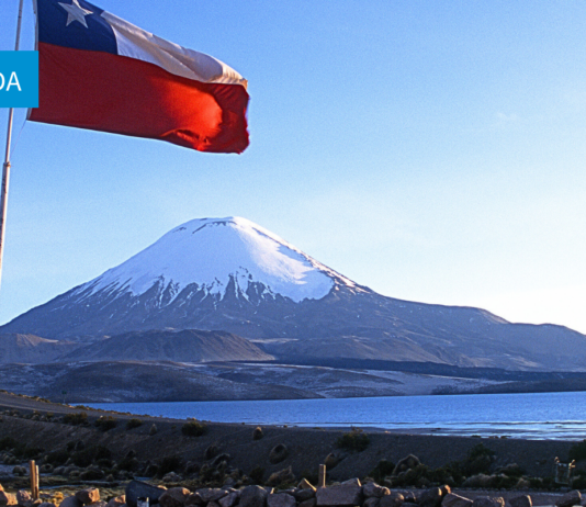 Revisión de los estándares de transparencia a un año de la entrada en vigencia de la Ley Marco de Cambio Climático