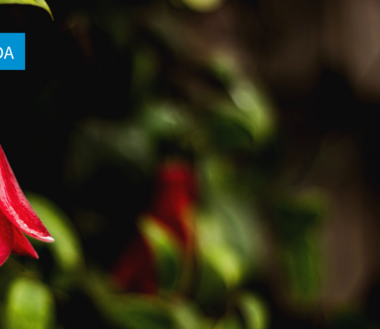 Los 23 reglamentos de los cuales depende la implementación de la Ley Marco de Cambio Climático