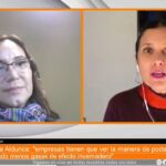 Mostrador Paulina Aldunce