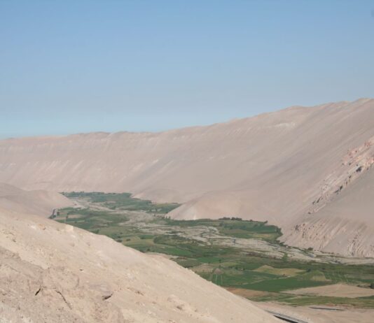 El colapso del valle de Azapa, la huerta de Chile: “Cuando llegué aquí esto era puro río” (El País)