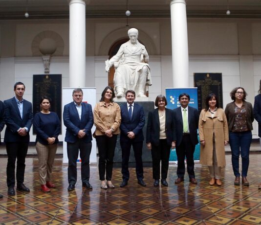 Comité Estratégico de Hidrógeno Verde sesiona por primera vez y delinea pilares para el Plan de Acción (Prensa Uchile)