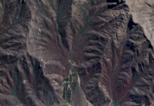 Chile: El bosque esclerófilo ‘víctima’ de la sequía (Ecoticias)