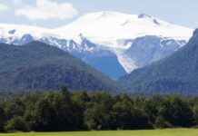 «Biodiversidad y Áreas Protegidas en Chile» por Mauricio Osses (MedioDirecto)