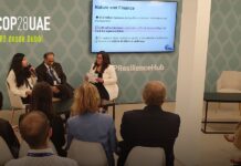 COP28: Iniciativa de Naciones Unidas avanza hacia la resiliencia de casi 2 mil millones de personas vulnerables al cambio climático