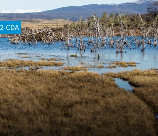 N° 6 | Seguimiento Implementación de la Ley Marco de Cambio Climático