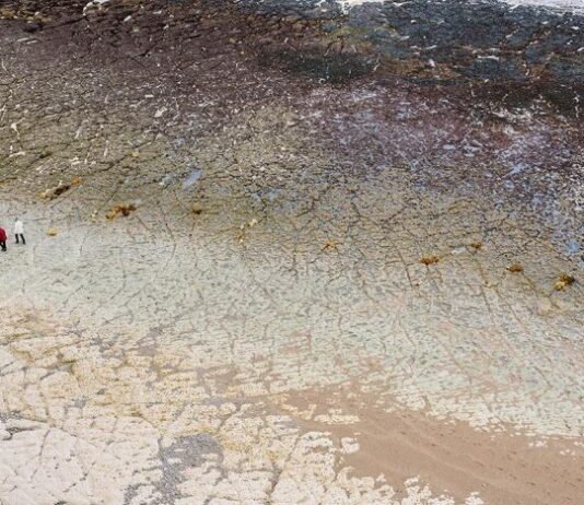 Chile: Seguridad hídrica alcanzaría nivel crítico en 2050 por menor disponibilidad y más consumo (El Mostrador)