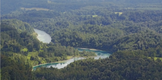 19 de diciembre | Seminario: «Agua en el contexto de la restauración de bosques, derechos humanos y cambio climático»