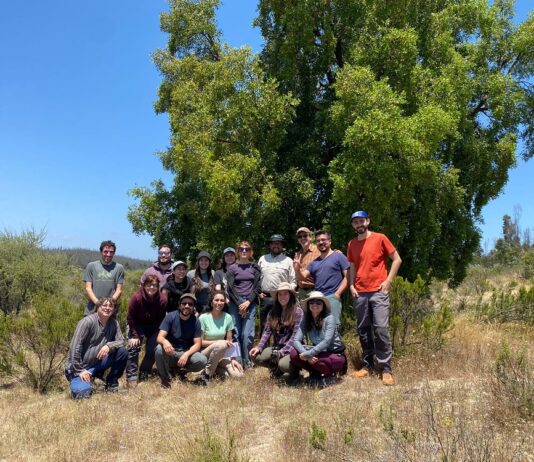 Sequía e incendios en la zona central de Chile: El difícil escenario para la restauración del bosque esclerófilo (Diario UACh)