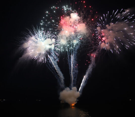 Alerta de incendios: Expertos advierten sobre riesgos asociados a las celebraciones de Año Nuevo (Agricultura)