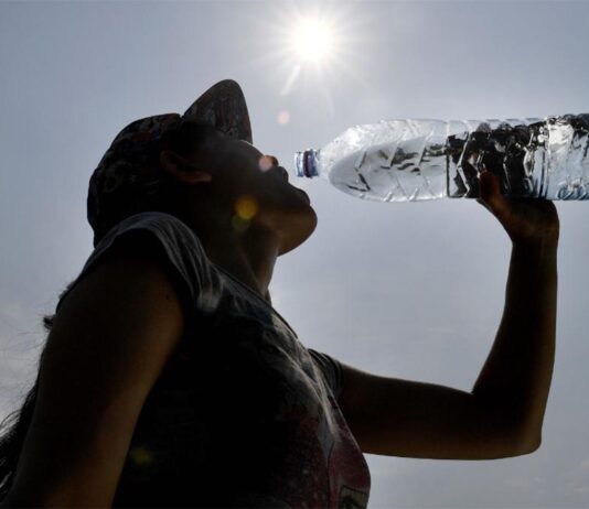 Olas de calor extremas: ¿Qué nos depara el verano de 2024 y los que vendrán? (Prensa Uchile)