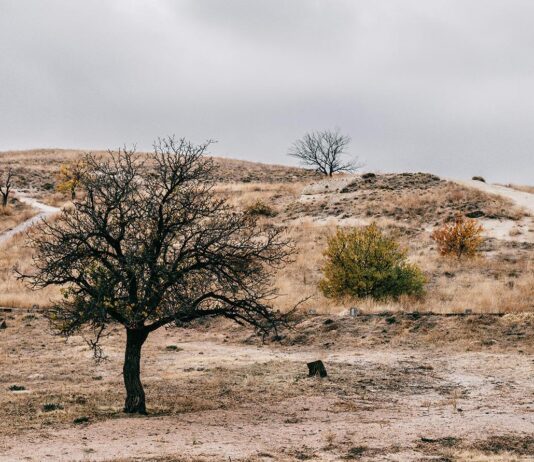 Crisis hídrica en Coquimbo: Especialistas plantean medidas para enfrentar la emergencia regional (Prensa Uchile)
