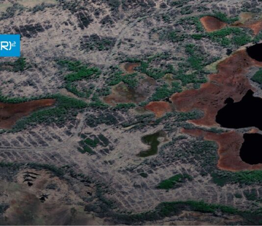 Policy brief CR2 | Efectos de la pérdida de cobertura de bosques nativos por la actividad forestal y del castor en los reservorios de carbono de la Patagonia chilena