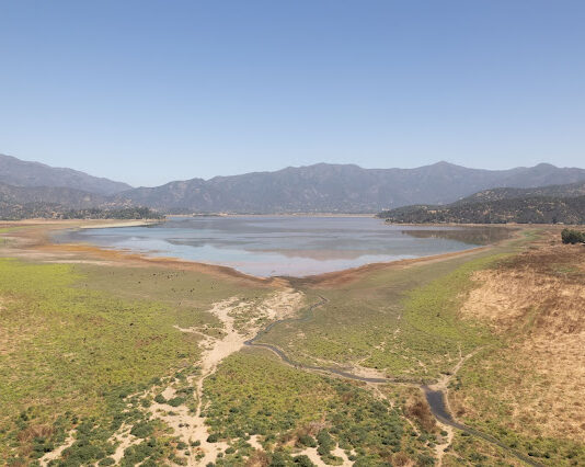 Protección del agua: El verdadero desafío de la política pública en Chile (El Desconcierto)
