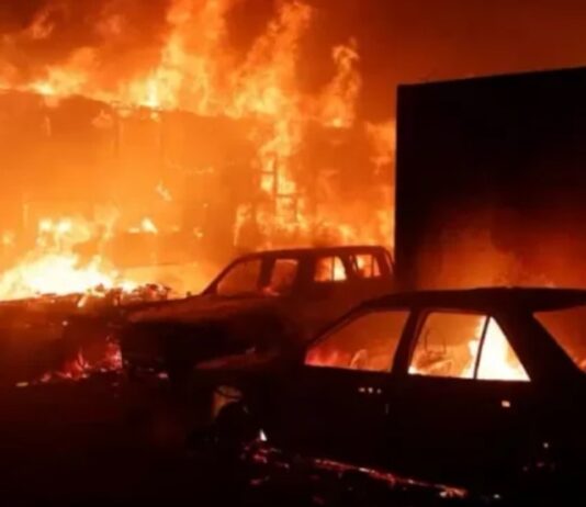 ¿Qué provocó los incendios forestales más mortíferos en la historia de Chile? (La voz de Yopal)