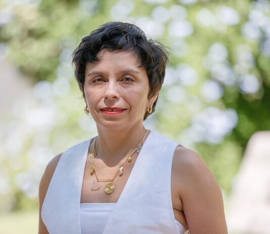 Equipo del Centro de Derecho Ambiental destaca en actividades nacionales e internacionales (U de Chile)