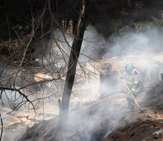 Incendios forestales en Chile: ¿Qué los provocó? (La FM)