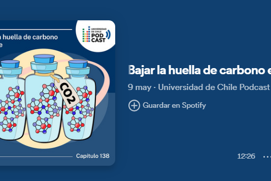 Carbono Neutralidad: El rol de la ciencia en esta meta para combatir el cambio climático (Prensa Uchile)