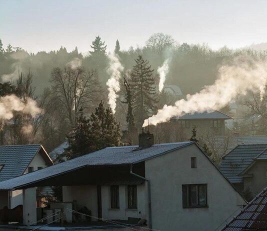 Carbono Neutralidad: el rol de la ciencia en esta meta para combatir el cambio climático (El Mostrador)