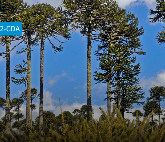 N° 7 | Seguimiento implementación de la Ley Marco de Cambio Climático