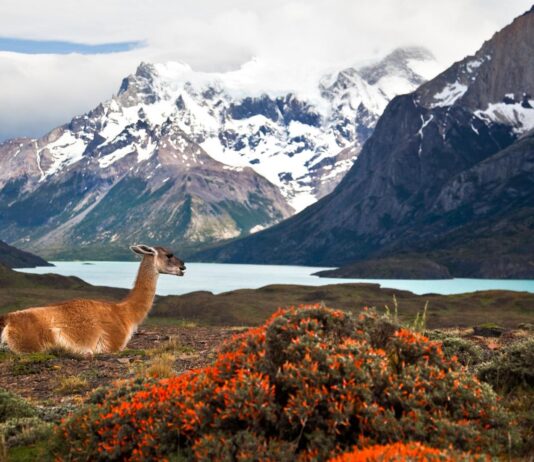 U. de Chile será anfitriona de simposio internacional sobre cambio climático, políticas públicas y negocios (Prensa Uchile)