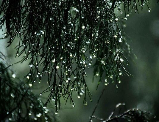 ¿Cuál puede ser el impacto del ciclón extratropical que llegó a Chile? (Diario Uchile)