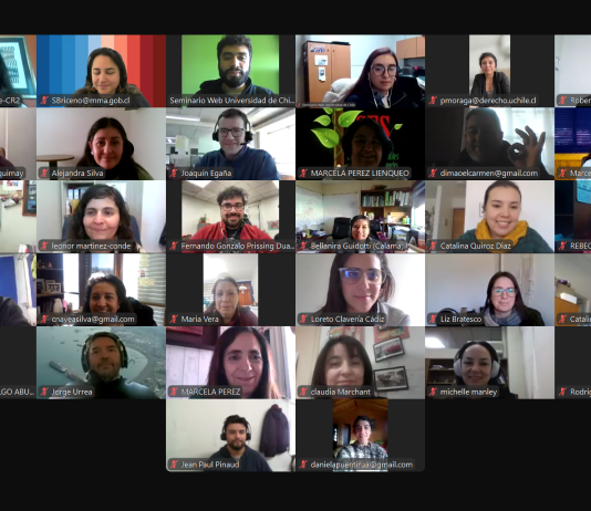 Con más de 600 participantes, finaliza la primera etapa del Diplomado «Acciones de Cambio Climático a Nivel Regional y Local» (Prensa Uchile)