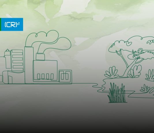 Cápsula climática: ¿Qué es la carbono neutralidad?