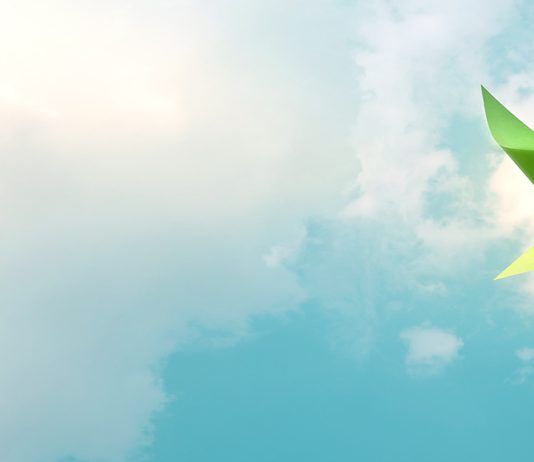 23 de enero | Informe a las Naciones CR2 “Carbono neutralidad en Chile: avanzar hacia un país más justo y resiliente al clima»