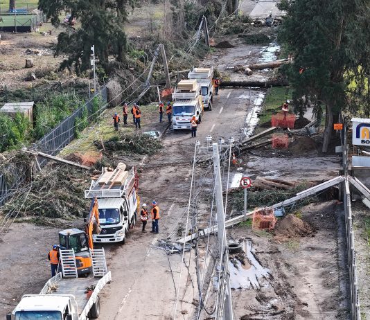 Expertos Uchile urgen soterrar cableado eléctrico ante vientos extremos (Prensa Uchile)