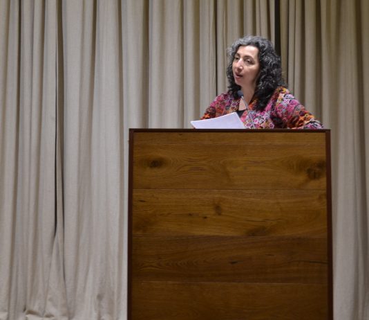 Seminario de evaluación de políticas públicas nacionales y subnacionales propuso mejoras en la materia (Facultad de Gobierno U. de Chile)