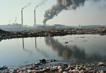 Estudio descubre que 63 de las 1500 políticas medioambientales son exitosas (De mar a cordillera)