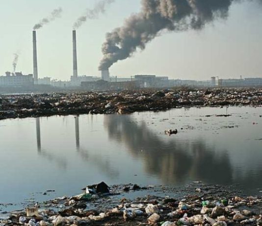 Estudio descubre que 63 de las 1500 políticas medioambientales son exitosas (De mar a cordillera)