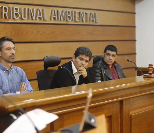 Primer Tribunal Ambiental realizó seminario sobre impacto de la inteligencia artificial en el área ambiental (Minería chilena)