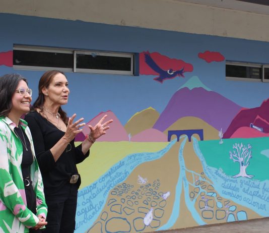 “Soñar el agua” y “Agua por turnos”: décimas, cuecas y un mural junto a la comunidad del Valle de Aconcagua (CITRID – UChile)