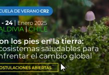 U. de Chile anuncia nueva edición de la Escuela de Temporada: “Extensión universitaria que transforma” (Prensa Uchile)