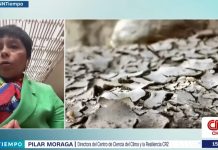 Directora del CR2: “Somos un país vulnerable” (CNN Tiempo)