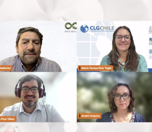 Desafíos, avances y temas pendientes de la actualización de la NDC 2025 fueron examinados en seminario web (País Circular)