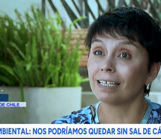 24 Horas Reportajes: Agua dulce amenaza a los salineros de Cáhuil (TVN)